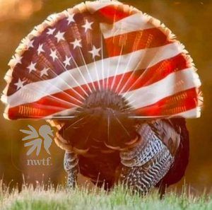 Meet your Posher, Dan